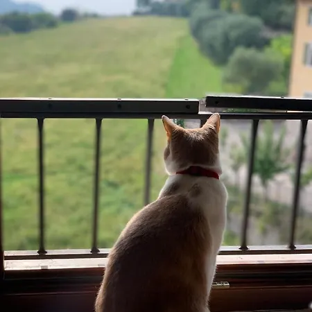 Cielo * 코스테르마노